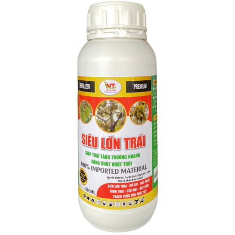 AGC Siêu Lớn Trái (500ml)