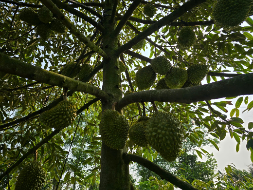 image001