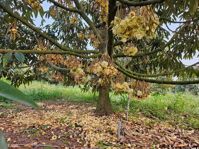 image039