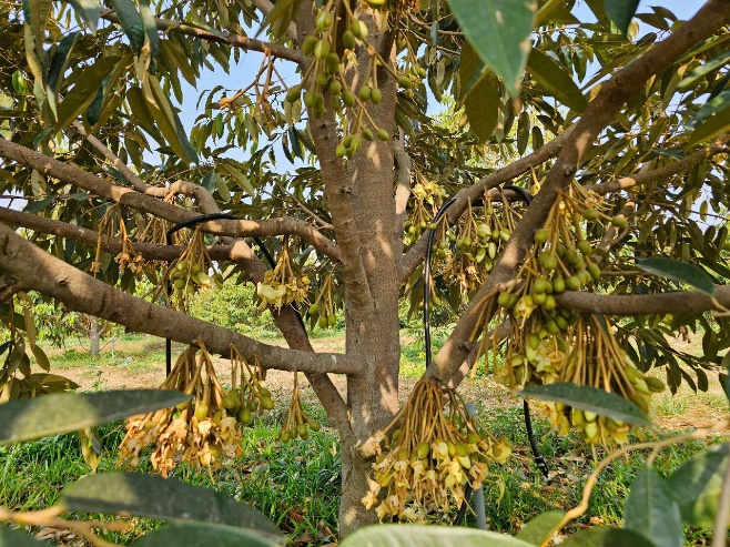 image031