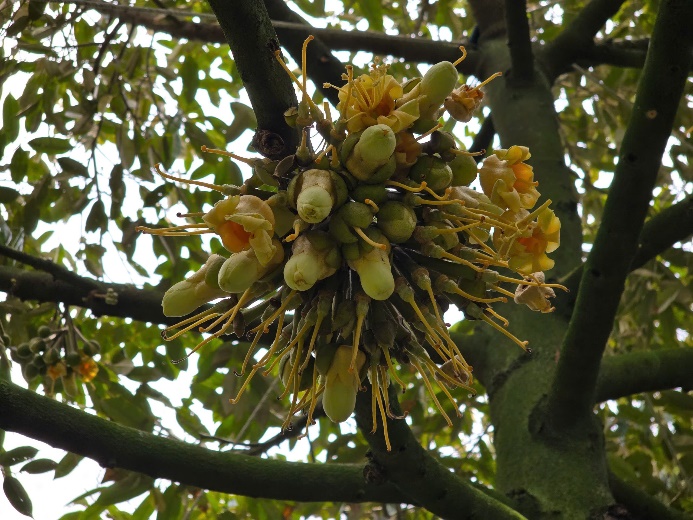 image031