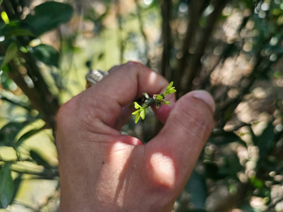 image031