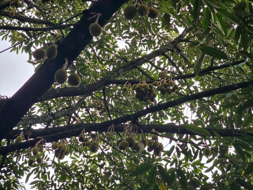 image034