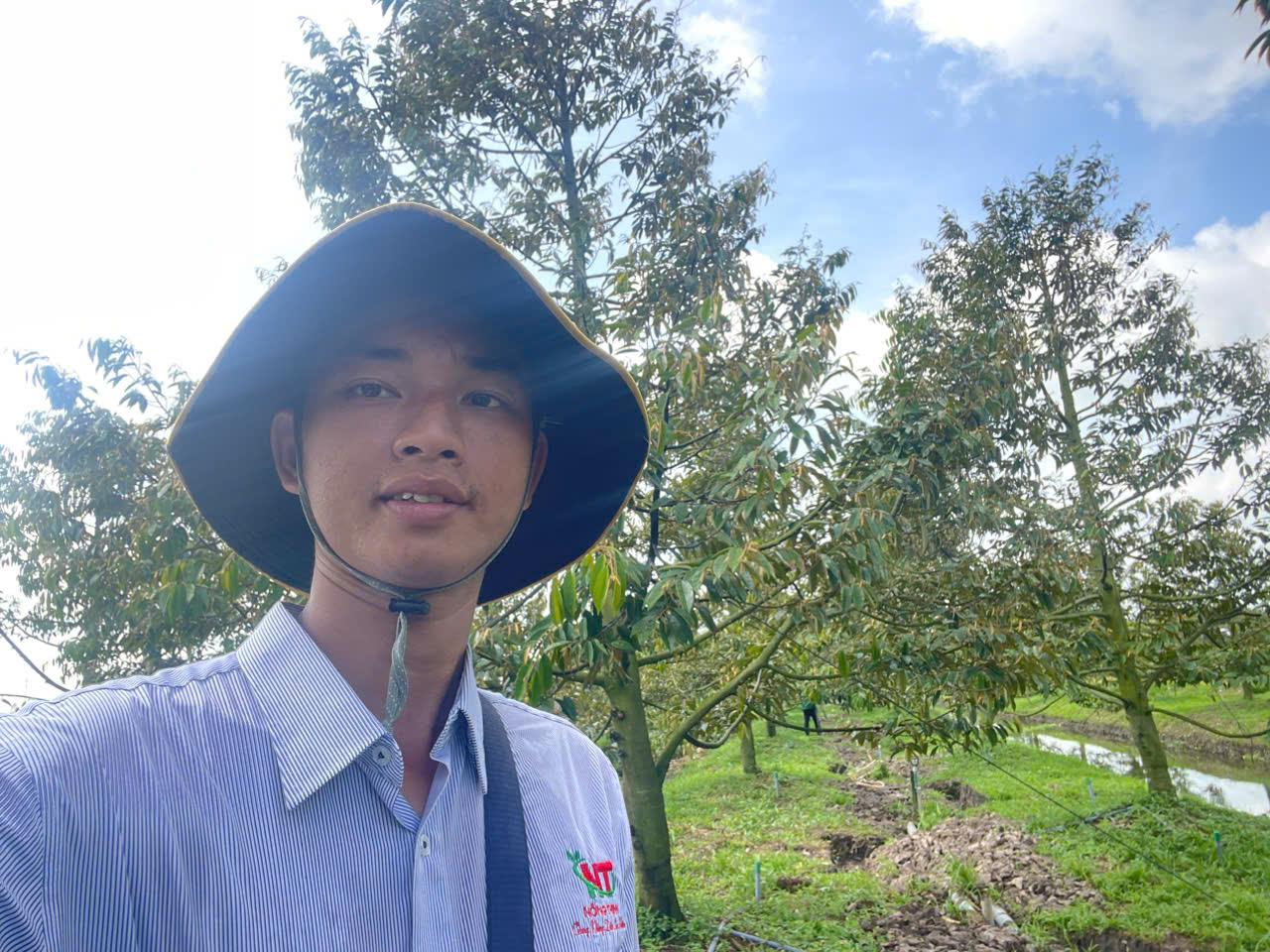 vinh