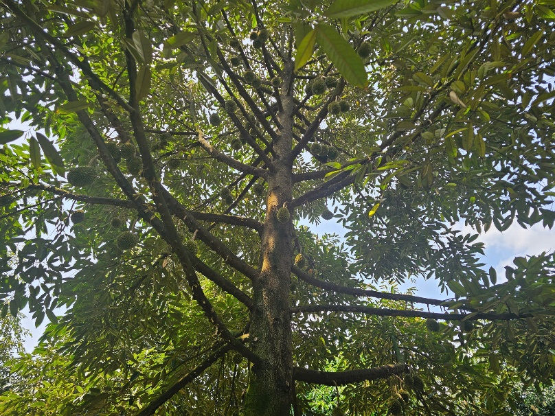 image011