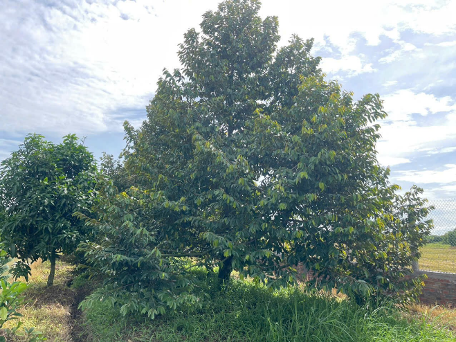image004