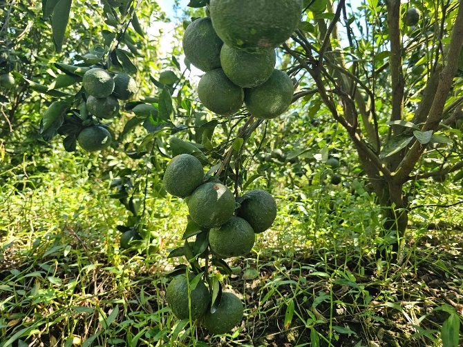 image025