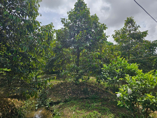 image013