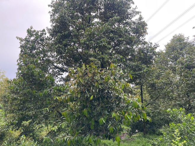 image012