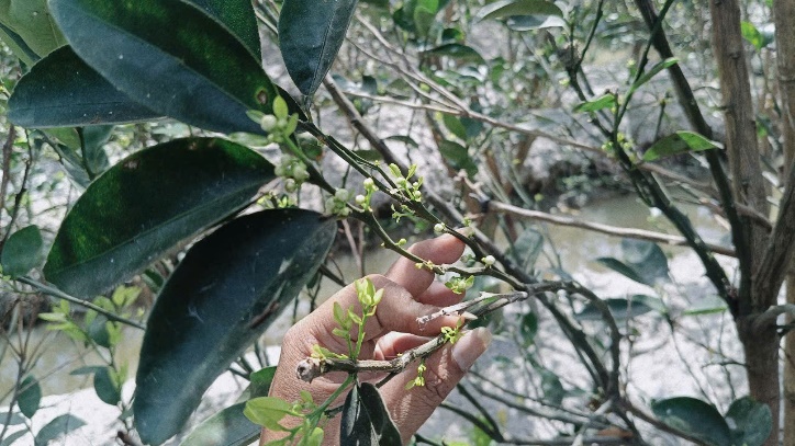 image003