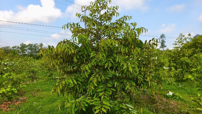 image010