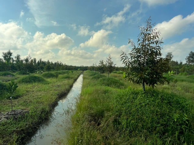 image001