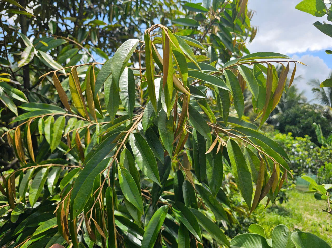 image009